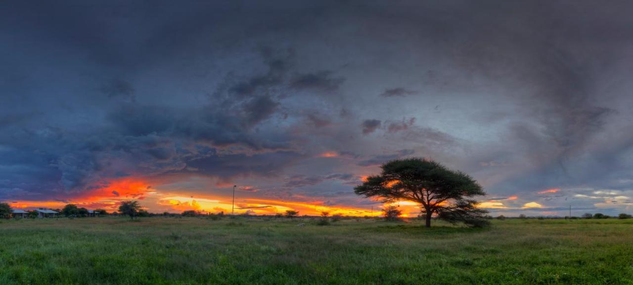 Khoi-Khoi Guesthouse Otavi Екстериор снимка