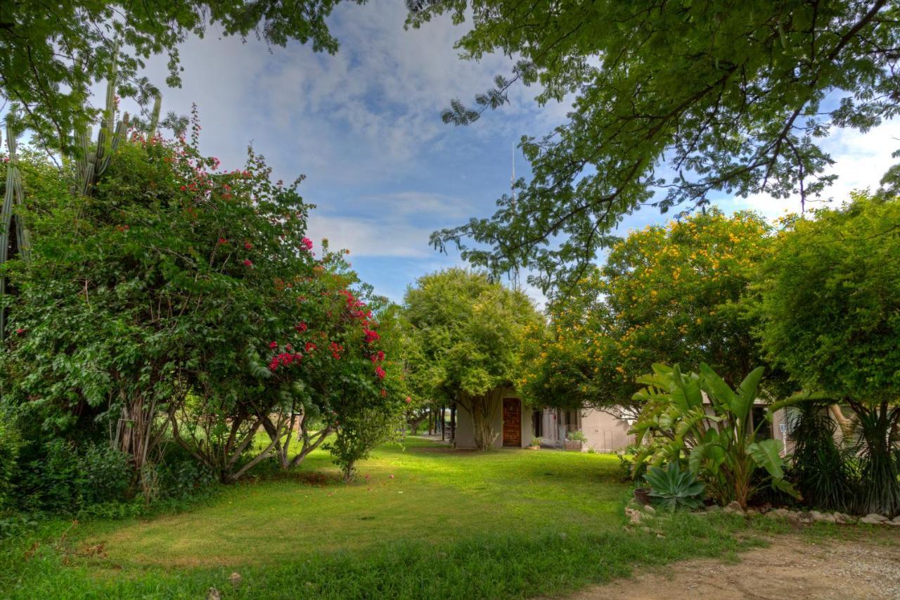 Khoi-Khoi Guesthouse Otavi Екстериор снимка